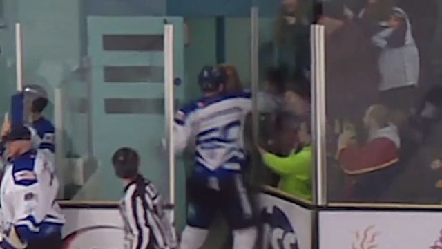EIHL player sacked by team after punching fan