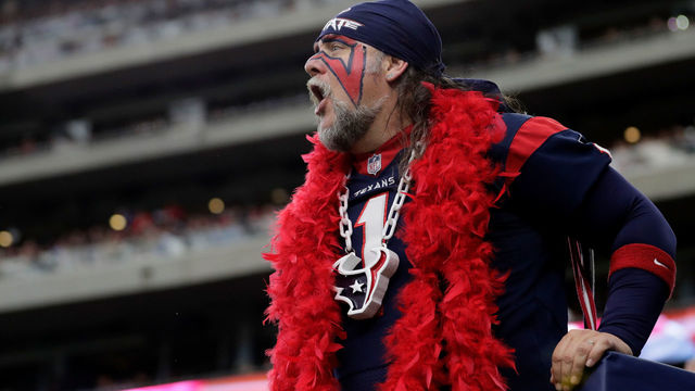 HOUSTON, TX - JANUARY 07: Houston Texans fans cheer during the AFC Wild Card game against the Oakland Raiders at NRG Stadium on January 7, 2017 in Houston, Texas.