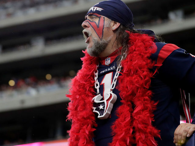 HOUSTON, TX - JANUARY 07: Houston Texans fans cheer during the AFC Wild Card game against the Oakland Raiders at NRG Stadium on January 7, 2017 in Houston, Texas.