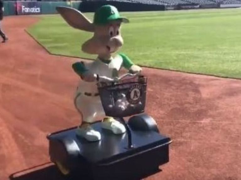 A's bring back baseball-delivering rabbit for 50th anniversary in ...