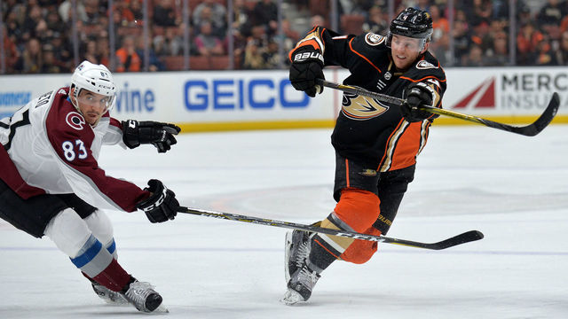 Ducks' Fowler out 2-6 weeks with shoulder injury