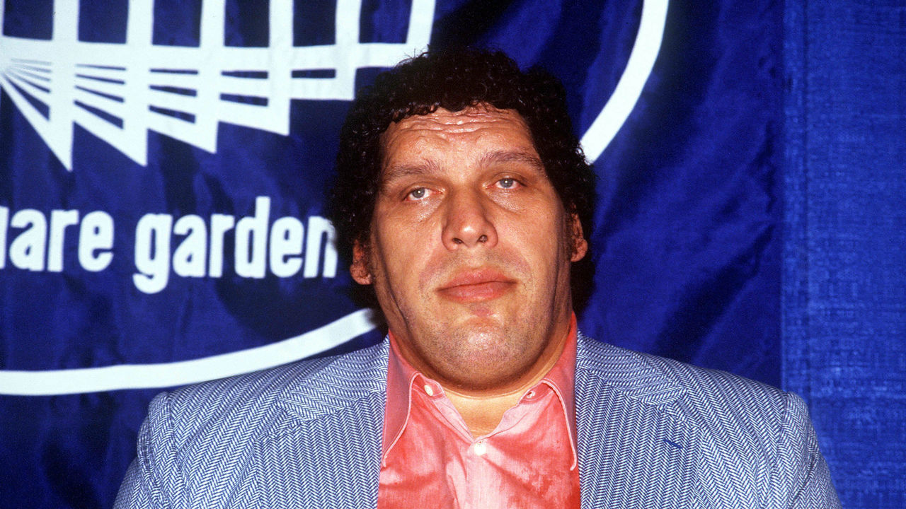 E 352697 014 Usa Professional Wrestler: Andre The Giant.