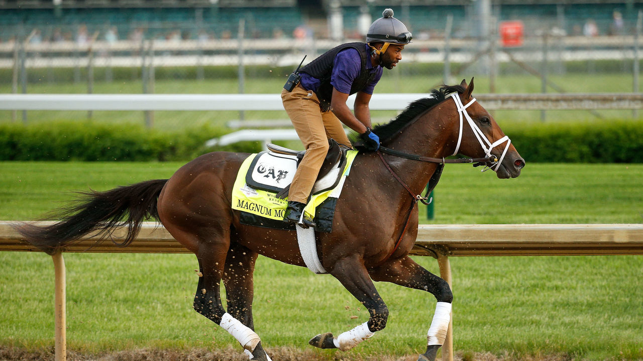 LOUISVILLE, KY - MAY 03: Magnum Moon trains on the track during morning workouts in preparation for the Kentucky Derby at Churchill Downs on May 3, 2018 in Louisville, Kentucky.