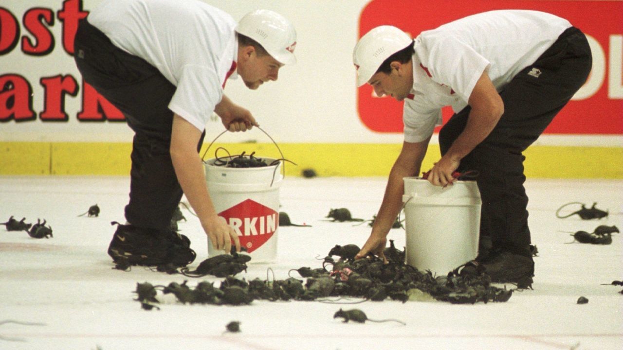 8 Jun 1996: Clean-up workes clear the ice of rubber rats after Florida scored a goal during the first period of game three of the Stanley Cup Finals at Miami Arena in Miami, Florida. Mandatory Credit: Glenn Cratty/ALLSPORT/NHL Images