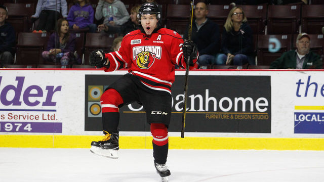 WINDSOR, ON - NOVEMBER 17: Forward Petrus Palmu #25 of the Owen Sound Attack celebrates his game-winning overtime goal against the Windsor Spitfires to make it 3-2 for Owen Sound on November 17, 2016 at the WFCU Centre in Windsor, Ontario, Canada.