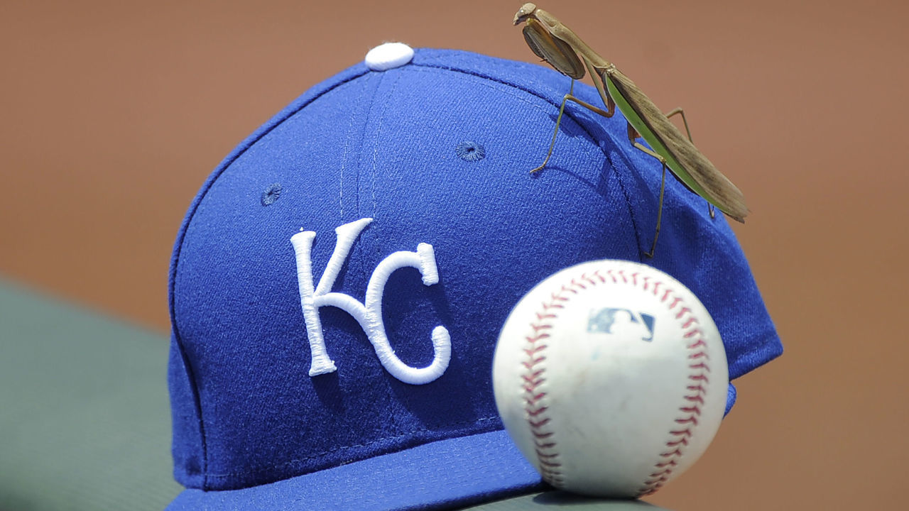 KANSAS CITY, MO - AUGUST 7: A Praying Mantis climbs on a cap belonging to a Kansas City Royals player during a game against the Toronto Blue Jays in the second inning at Kauffman Stadium on August 7, 2016 in Kansas City, Missouri.