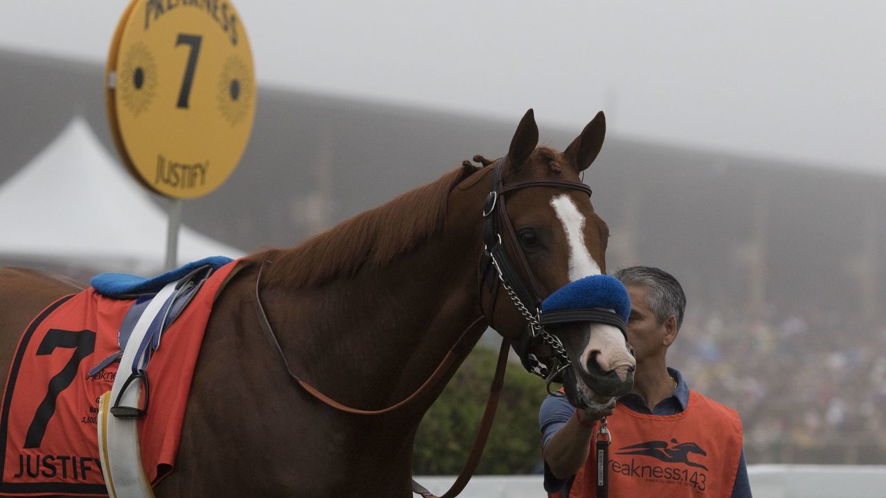 BALTIMORE, MARYLAND- MAY 19: Justify, with Mike Smith aboard, wins the G1 Preakness Stakes for trainer Bob Baffert at Pimlico Race Course on May 19, 2018 in Baltimore, Maryland