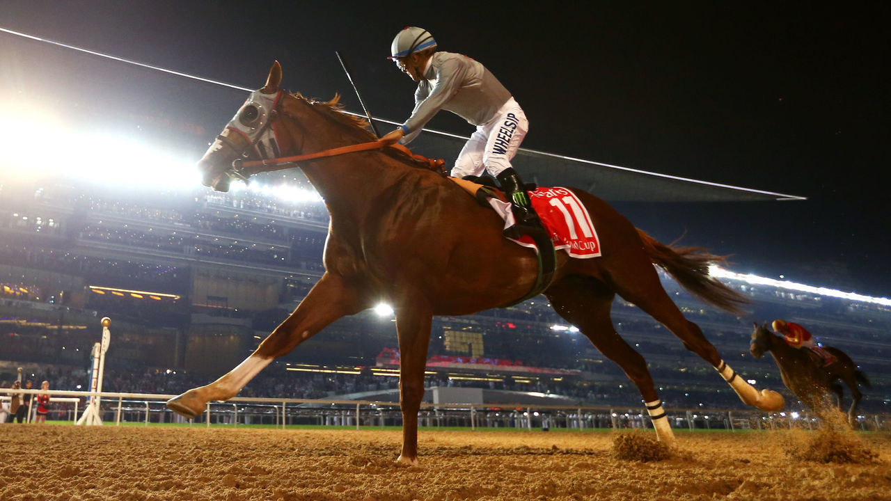 DUBAI, UNITED ARAB EMIRATES - MARCH 26: Victor Espinoza celebrates after riding California Chrome to victory in the Dubai World Cup Sponsored By Emirates Airline as part of the Dubai World Cup at Meydan Racecourse on March 26, 2016 in Dubai, United Arab Emirates.