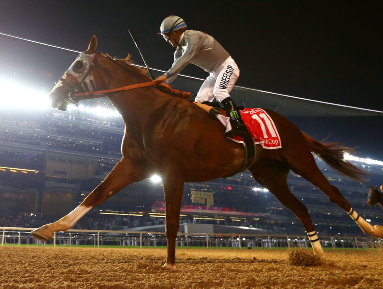 Скачки хром. Dubai World Cup в 2015. Гонки Дубай на лошадях. 2021 Dubai World Cup photos.