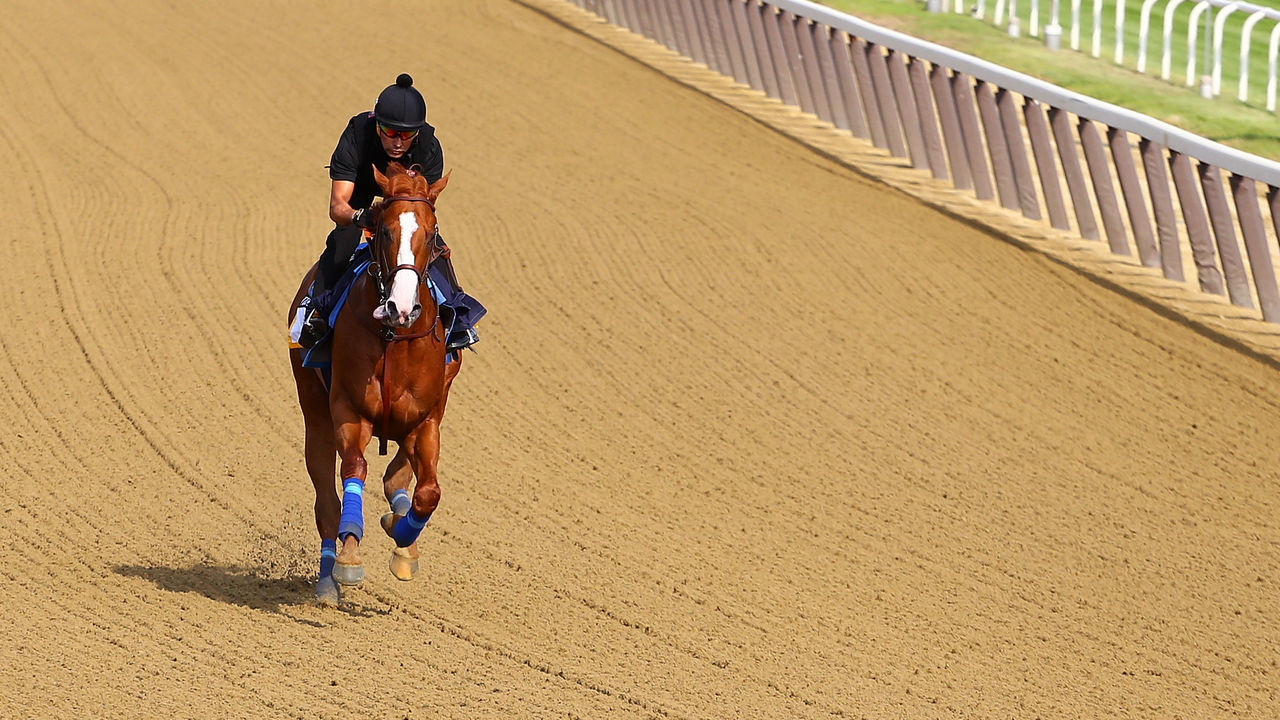 ELMONT, NY - JUNE 08: Triple Crown and Belmont Stakes contender Justify trains with Humberto Gomez up prior to the 150th running of the Belmont Stakes at Belmont Park on June 8, 2018 in Elmont, New York.