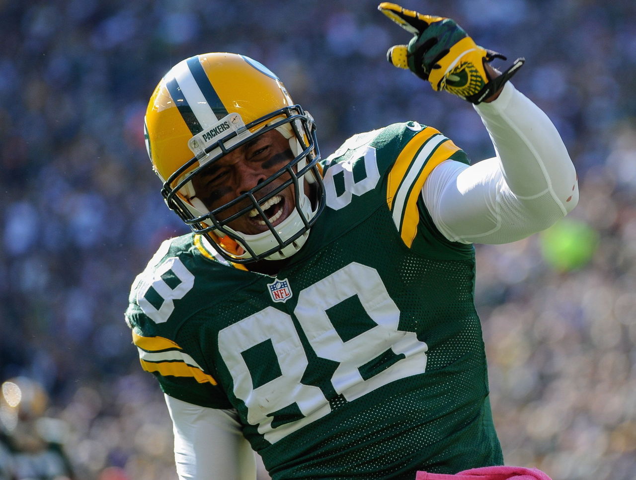 Green Bay Packers tight end Jermichael Finley bruised spinal cord