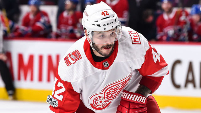MONTREAL, QC - DECEMBER 02: Martin Frk #42 of the Detroit Red Wings skates against the Montreal Canadiens during the NHL game at the Bell Centre on December 2, 2017 in Montreal, Quebec, Canada. The Montreal Canadiens defeated the Detroit Red Wings 10-1.