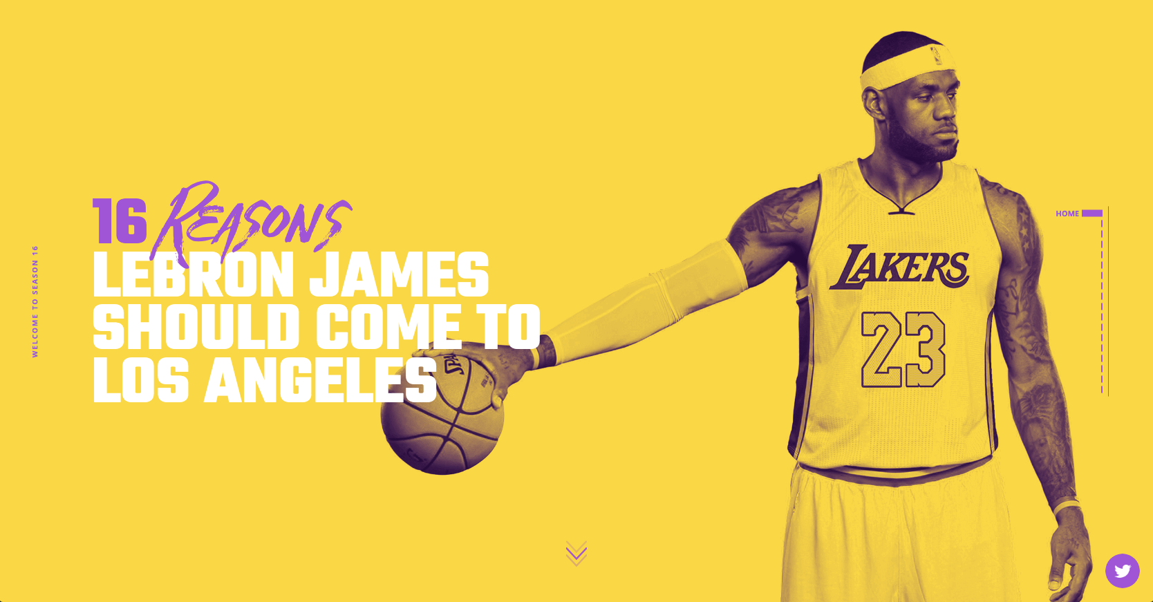 Lebron store james website