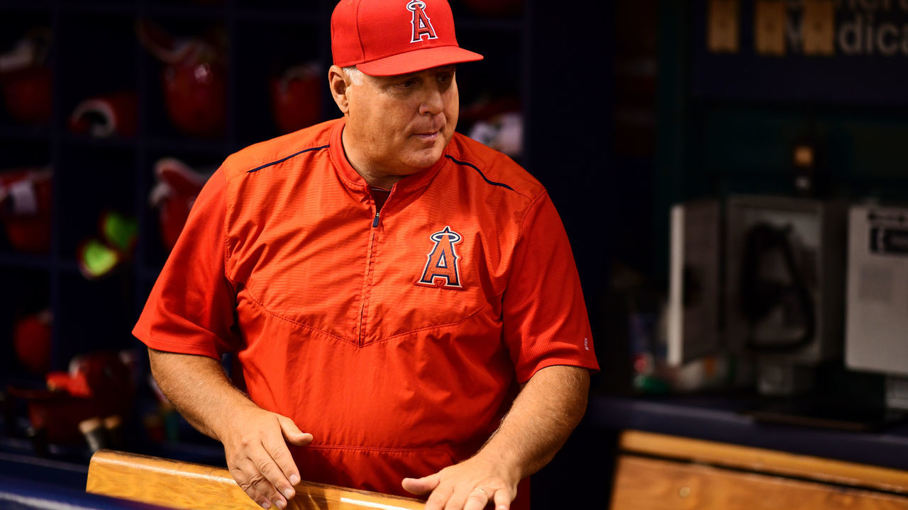 ST PETERSBURG, FL - JULY 31: Mike Scioscia #14 of the Los Angeles Angels looks on in the fourth inning against the Tampa Bay Rays on July 31, 2018 at Tropicana Field in St Petersburg, Florida.