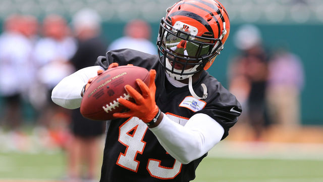 CINCINNATI, OH - JUNE 12: Cincinnati Bengals defensive back George Iloka (43) catches a pass during Bengals minicamp on June 12th, 2018 at Paul Brown Stadium in Cincinnati, OH.