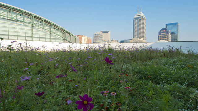 Veggie tales: Pacers install green roof atop new practice facility