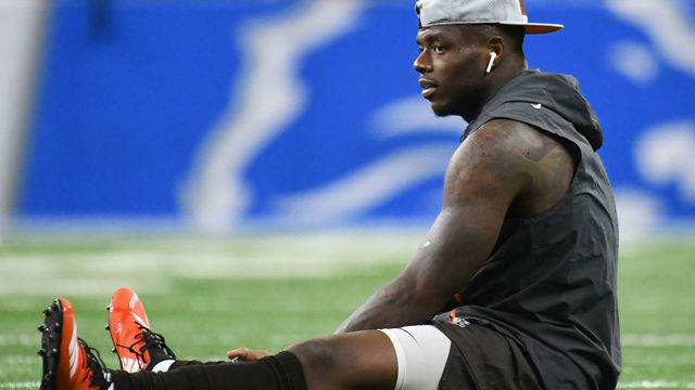 DETROIT, MI - AUGUST 30, 2018: Wide receiver Josh Gordon #12 of the Cleveland Browns stretches prior to a preseason game against the Detroit Lions on August 30, 2018 at Ford Field in Detroit, Michigan. Cleveland won 35-16. (Photo by: 2018 Nick Cammett/Diamond Images/Getty Images)