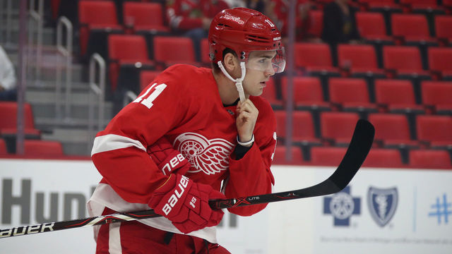 22DETROIT, MI - SEPTEMBER 20: Filip Zadina #11 of the Detroit Red Wings prepares to skate against the Chicago Blackhawks during a pre season game at Little Caesars Arena on September 20, 2018 in Detroit, Michigan.