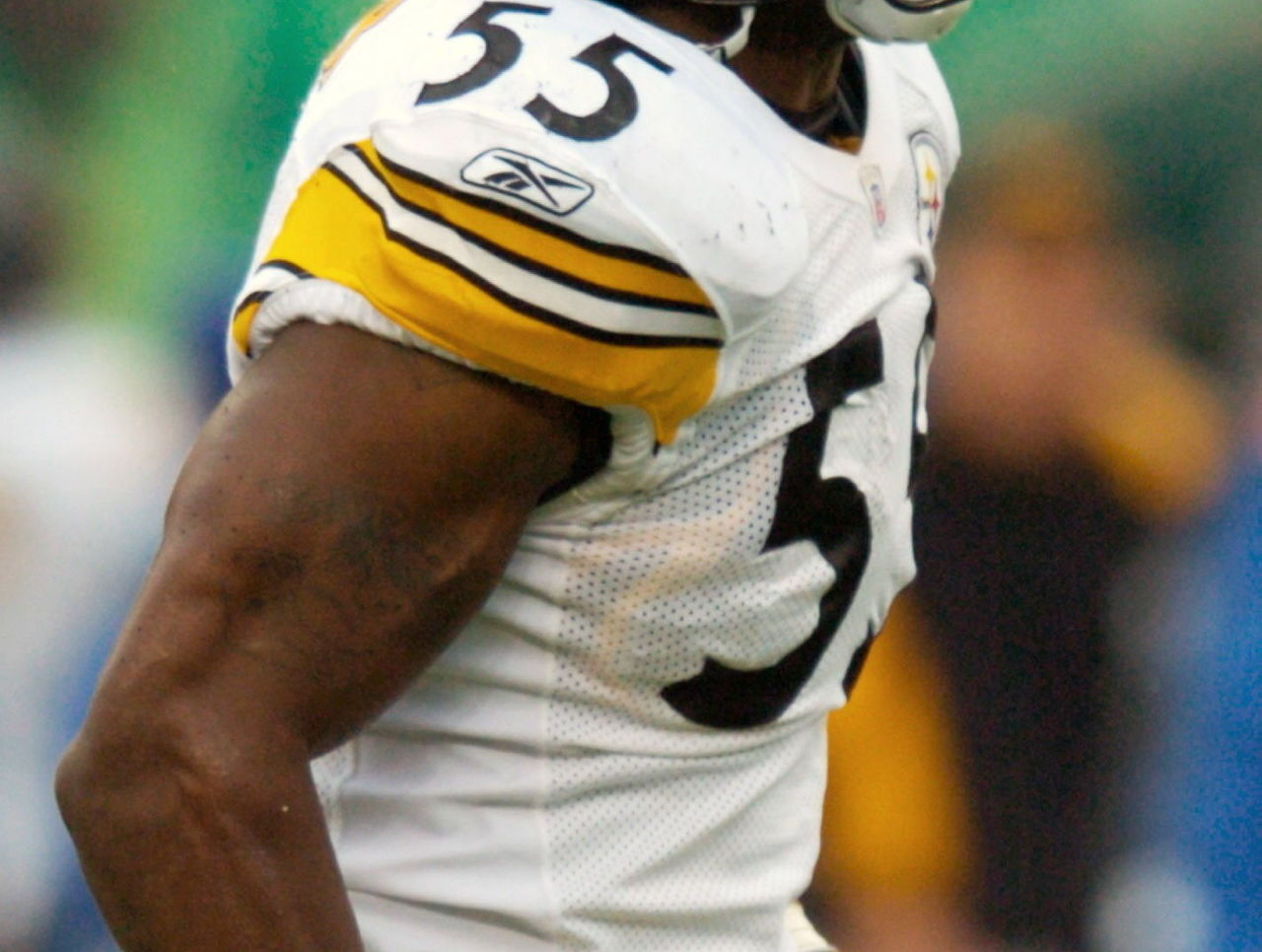 Porter hired by Steelers as defensive assistant, Sports