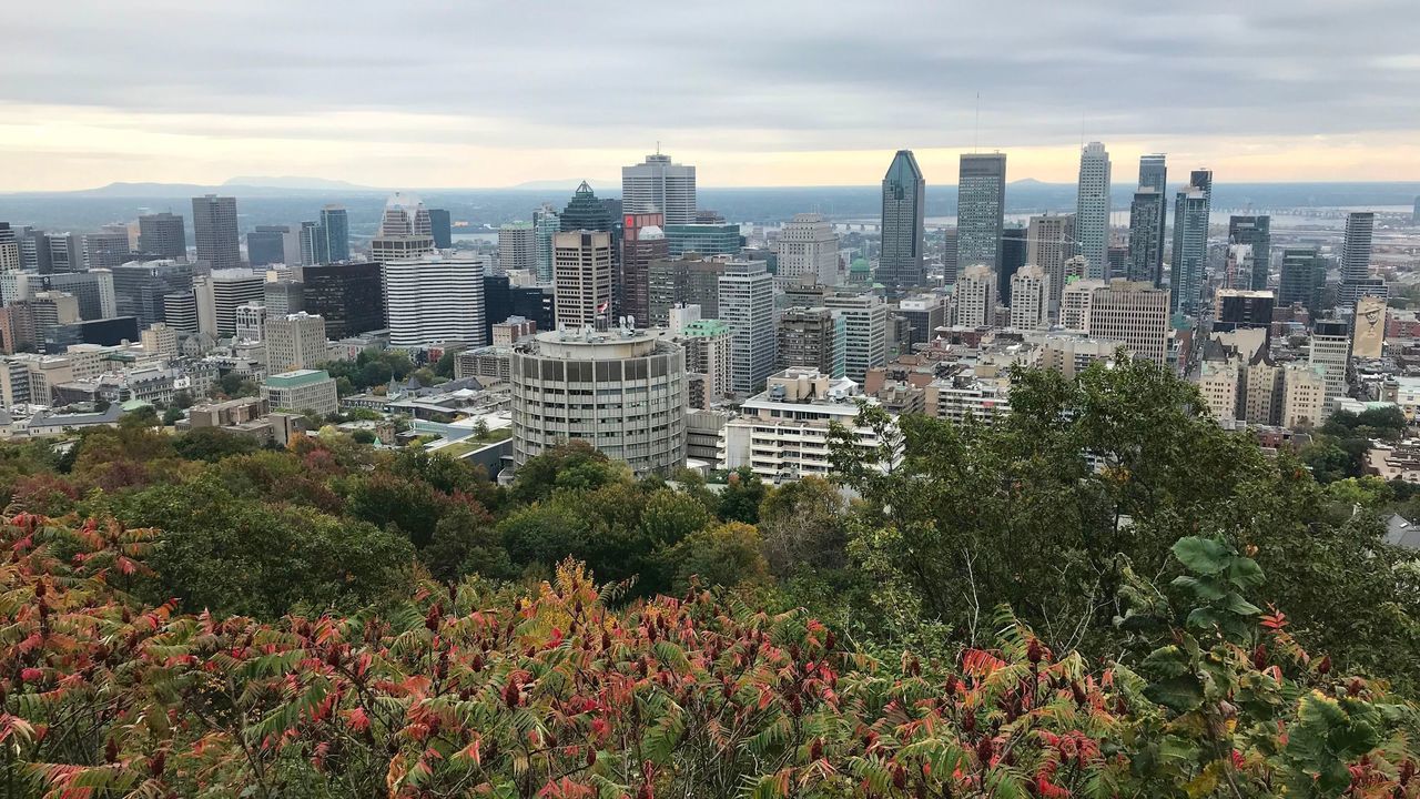General view of the City of Montreal in Quebec, Canada, take on October 07, 2010 from the top of Mount Royal. Montreal is the most populous municipality in the province of Quebec and the second-most populous in Canada. Originally called Ville-Marie, or 'City of Mary', it is named after Mount Royal, the triple-peaked hill in the heart of the city. / AFP PHOTO / Daniel SLIM
