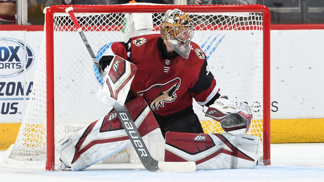 GLENDALE, AZ - NOVEMBER 02: Antti Raanta #32 of the Arizona Coyotes gets ready to make a save against the Carolina Hurricanes at Gila River Arena on November 2, 2018 in Glendale, Arizona.