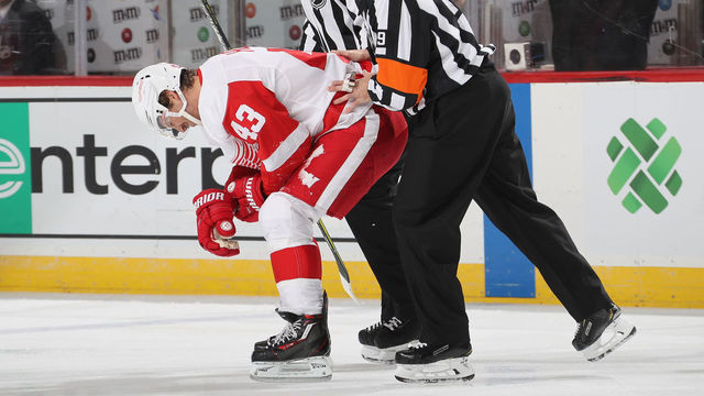 NEWARK, NEW JERSEY - NOVEMBER 17: Referee Gord Dwyer #19 escorts Darren Helm #43 of the Detroit Red Wings off the ice following a first period injury during the game against the New Jersey Devils at the Prudential Center on November 17, 2018 in Newark, New Jersey.