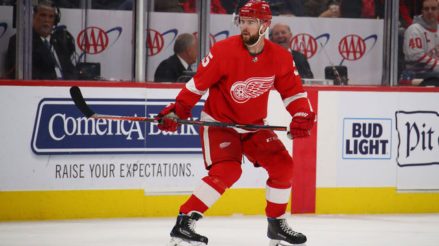 DETROIT, MICHIGAN - DECEMBER 04: Mike Green #25 of the Detroit Red Wings skates against the Tampa Bay Lightning at Little Caesars Arena on December 04, 2018 in Detroit, Michigan. Tampa Bay won the game 6-5 in a shootout.