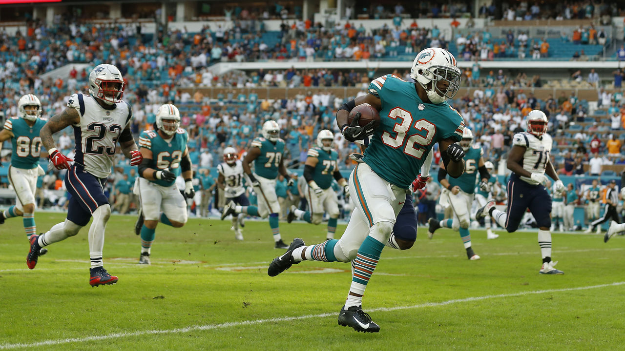 Miami Dolphins Trademarks - Gerben IP