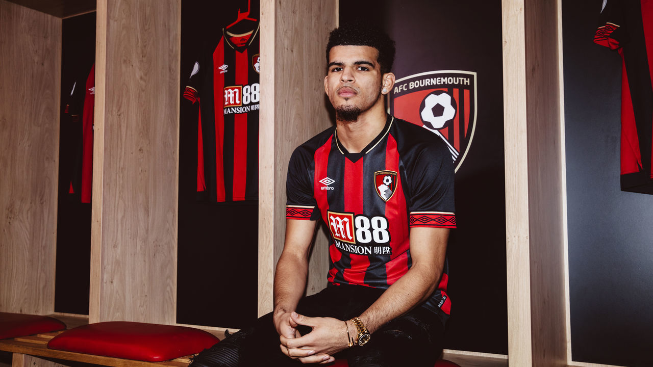 BOURNEMOUTH, ENGLAND - JANUARY 04: AFC Bournemouth unveil new signing Dominic Solanke at Vitality Stadium on January 4, 2019 in Bournemouth, England.
