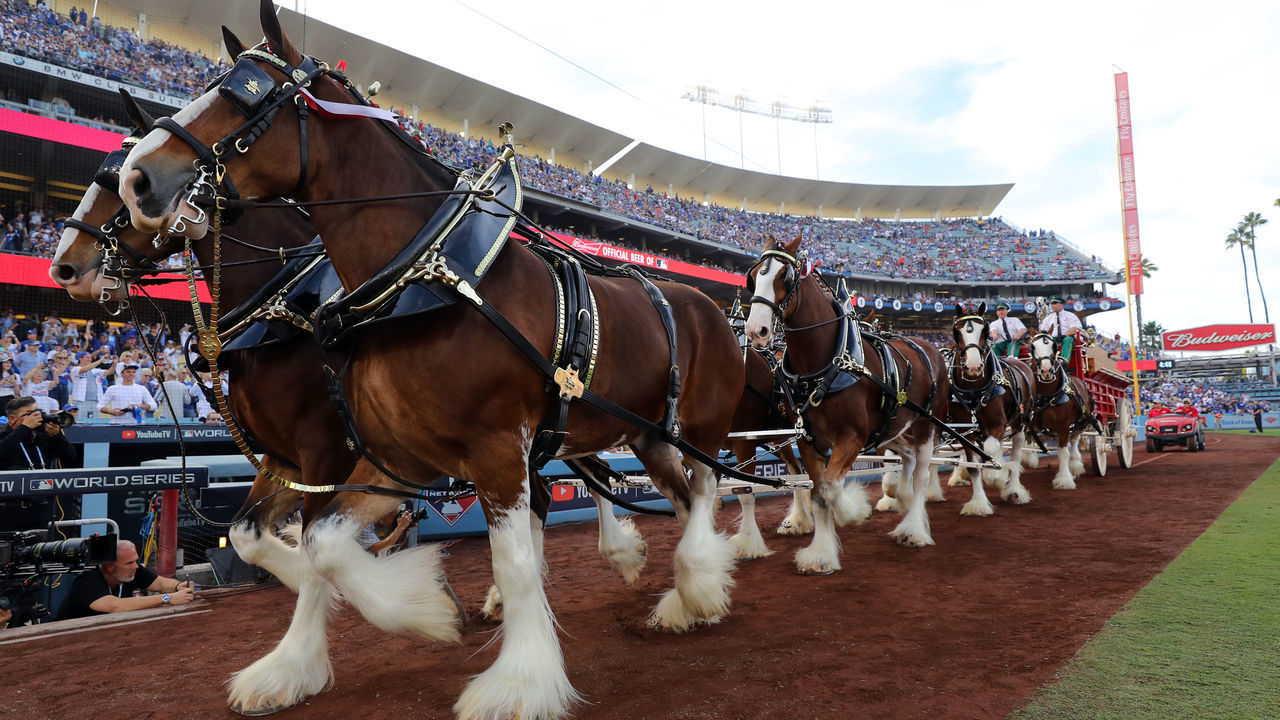 LOS ANGELES, CA - OCTOBER 28: The Budweiser Clydesdales are seen on the warning track prior to Game 5 of the 2018 World Series between the Boston Red Sox and the Los Angeles Dodgers at Dodger Stadium on Sunday, October 28, 2018 in Los Angeles, California.