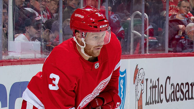 DETROIT, MI - FEBRUARY 14: Nick Jensen #3 of the Detroit Red Wings controls the puck behind the net against the Ottawa Senators during an NHL game at Little Caesars Arena on February 14, 2019 in Detroit, Michigan. Detroit defeated Ottawa 3-2.