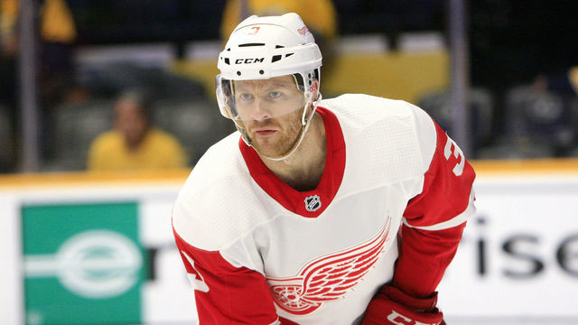 NASHVILLE, TN - FEBRUARY 12: Detroit Red Wings defenseman Nick Jensen (3) is shown during the NHL game between the Nashville Predators and Detroit Red Wings, held on February 12, 2019, at Bridgestone Arena in Nashville, Tennessee.