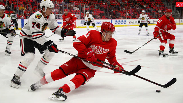DETROIT, MI - SEPTEMBER 20: Filip Zadina #11 of the Detroit Red Wings battle for the puck with Nicolas Beaudin #74 of the Chicago Blackhawks during a pre season game at Little Caesars Arena on September 20, 2018 in Detroit, Michigan.