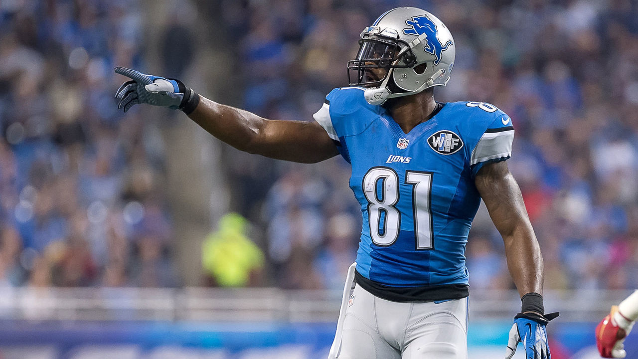 27 December 2015: Detroit Lions Wide Receiver Calvin Johnson (81) [9383] in action during a game between the San Francisco 49ers and the Detroit Lions at Ford Field in Detroit, MI.