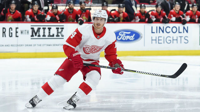 OTTAWA, ON - FEBRUARY 02: Detroit Red Wings Right Wing Gustav Nyquist (14) skates during the first period of the NHL game between the Ottawa Senators and the Detroit Red Wings on Feb. 2, 2019 at the Canadian Tire Centre in Ottawa, Ontario, Canada.