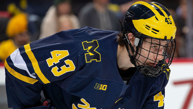 DETROIT, MI - FEBRUARY 09: Quinn Hughes #43 of the Michigan Wolverines gets set for the face-off against the Michigan State Spartans during the annual Duel in the D game at Little Caesars Arena on February 9, 2019 in Detroit, Michigan. The Wolverines defeated the Spartans 5-2.