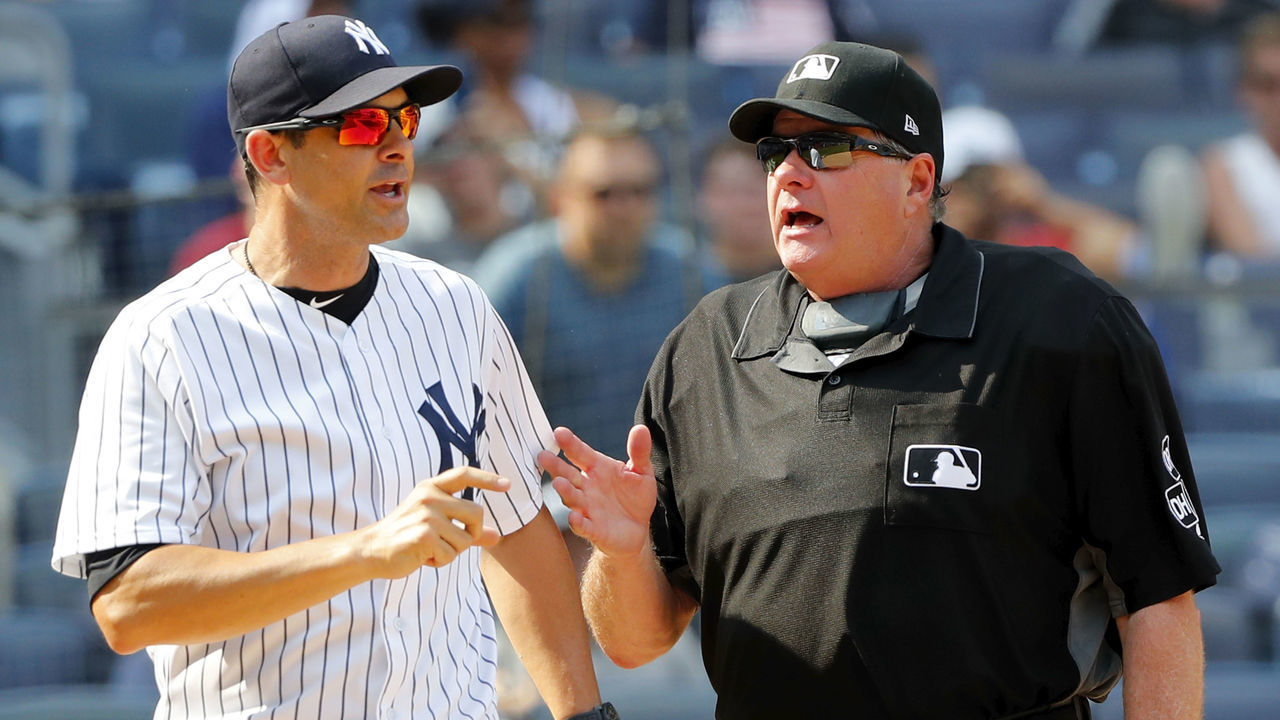 NEW YORK, NY - AUGUST 16: Manager Aaron Boone #17 of the New York Yankees talks with umpire Jerry Layne #24 during an MLB baseball game against the Tampa Bay Rays on August 16, 2018 at Yankee Stadium in the Bronx borough of New York City. Rays won 3-1.