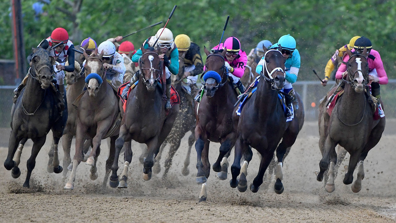 BALTIMORE, MD - MAY 18: War of Will #1 (R), ridden by jockey Tyler Gaffalione, rounds the fourth turn to win the 144th Running of the Preakness Stakes at Pimlico Race Course on May 18, 2019 in Baltimore, Maryland.