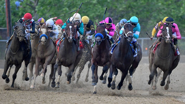 BALTIMORE, MD - MAY 18: War of Will #1 (R), ridden by jockey Tyler Gaffalione, rounds the fourth turn to win the 144th Running of the Preakness Stakes at Pimlico Race Course on May 18, 2019 in Baltimore, Maryland.