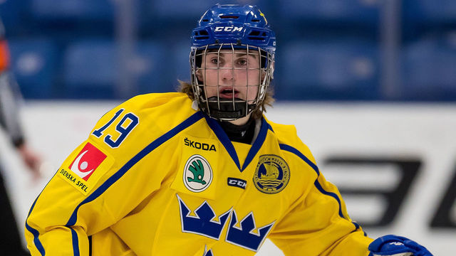 PLYMOUTH, MI - FEBRUARY 15: Nils Hoglander #19 of the Sweden Nationals follows the play against the Finland Nationals during the 2018 Under-18 Five Nations Tournament game at USA Hockey Arena on February 15, 2018 in Plymouth, Michigan. Finland defeated Sweden 5-3. *** Local Caption *** Nils Hoglander