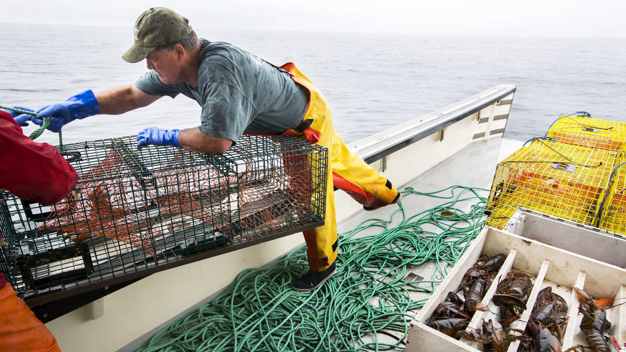 IPSWICH, MA - JUNE 20: Former Boston Red Sox manager John Farrell works on his lobster boat in Ipswich Bay on June 20, 2019. Farrell is now a Massachusetts lobsterman with 800 traps. He named his 46-foot lobster boat Seaweed, which was his Jersey shore lobsterman father's nickname.