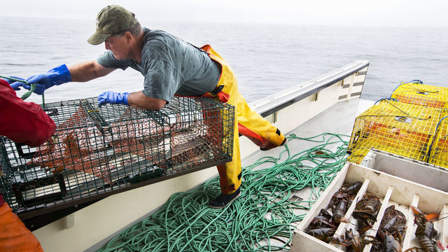 IPSWICH, MA - JUNE 20: Former Boston Red Sox manager John Farrell works on his lobster boat in Ipswich Bay on June 20, 2019. Farrell is now a Massachusetts lobsterman with 800 traps. He named his 46-foot lobster boat Seaweed, which was his Jersey shore lobsterman father's nickname.