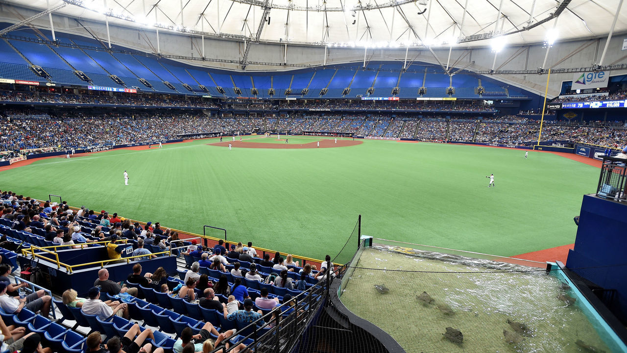 ST PETERSBURG, FL - JUNE 15: The Tampa Bay Rays play against the Los Angeles Angels at Tropicana Field on June 15, 2019 in St Petersburg, Florida.