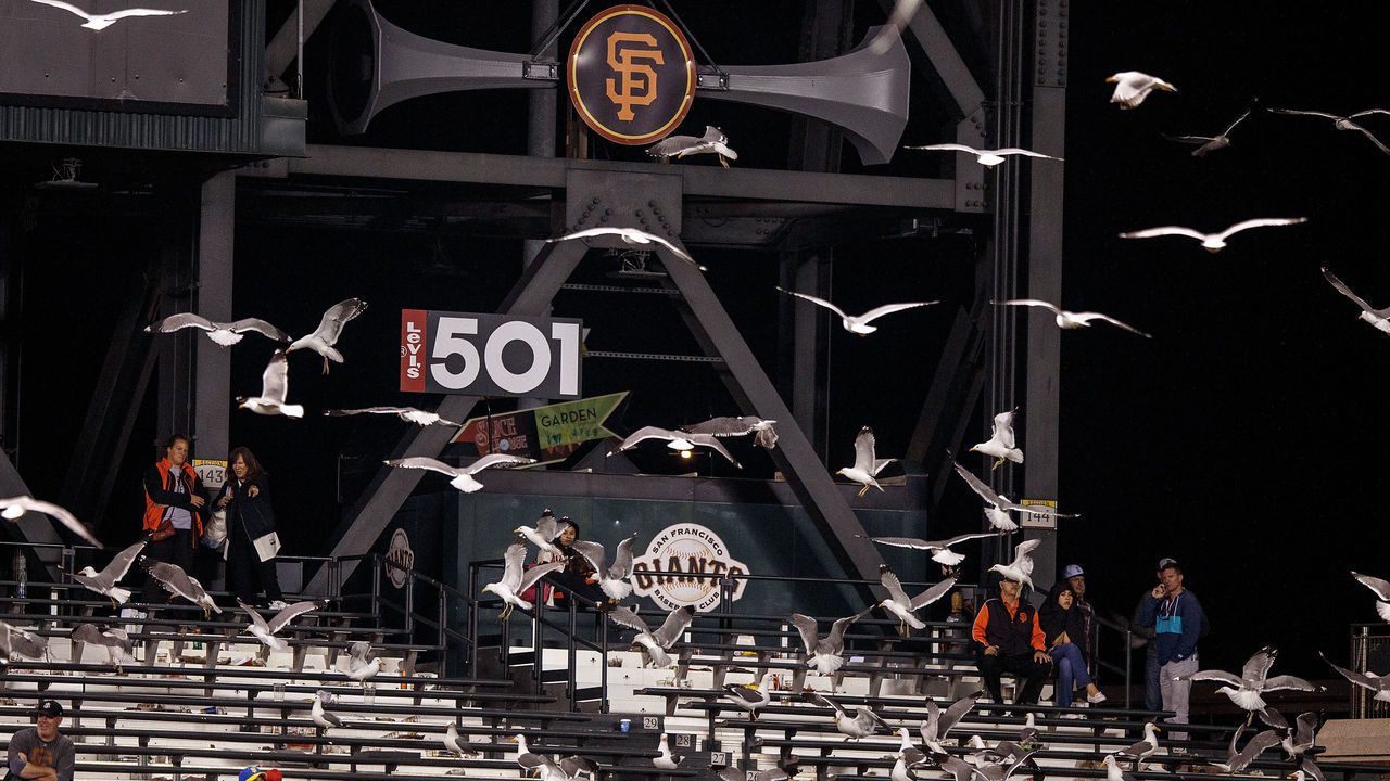 SAN FRANCISCO, CA - APRIL 18: A flock of seagulls land in the outfield bleachers during the eleventh inning between the San Francisco Giants and the Arizona Diamondbacks at AT&T Park on April 18, 2016 in San Francisco, California. The Arizona Diamondbacks defeated the San Francisco Giants 9-7 in 11 innings. *** Local Caption ***