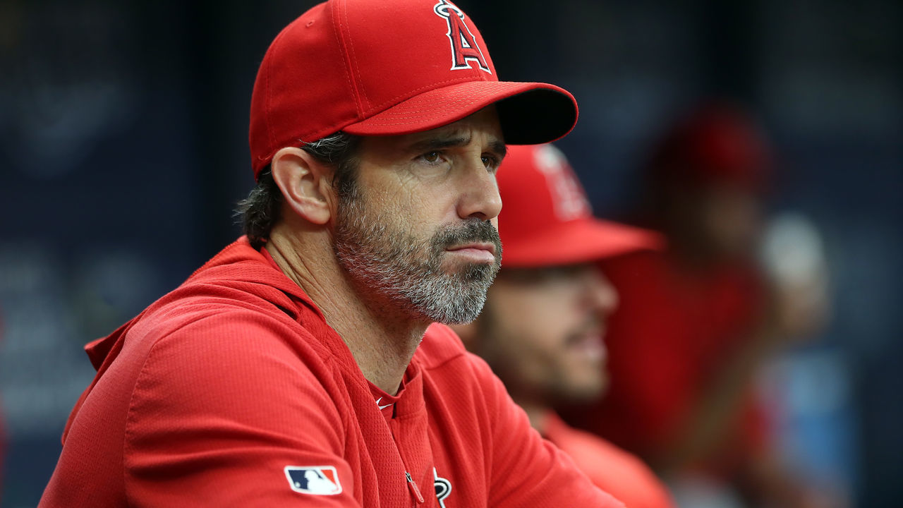 ST. PETERSBURG, FL - JUN 15: Angels Manager Brad Ausmus watches the action on the field during the MLB regular season game between the Los Angeles Angels and the Tampa Bay Rays on June 15, 2019, at Tropicana Field in St. Petersburg, FL.