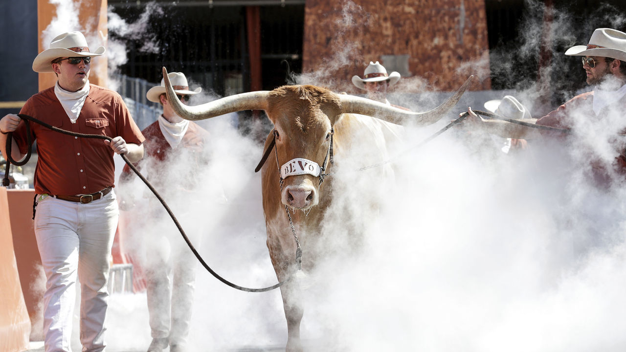AUSTIN, TX - SEPTEMBER 07: Texas Longhorns mascot Bevo XV participates in a stadium entry walk through before the game against the LSU Tigers at Darrell K Royal-Texas Memorial Stadium on September 7, 2019 in Austin, Texas.