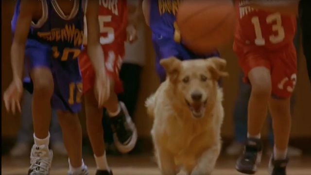 'Air Bud' star Kevin Zegers teases possible reboot of original film