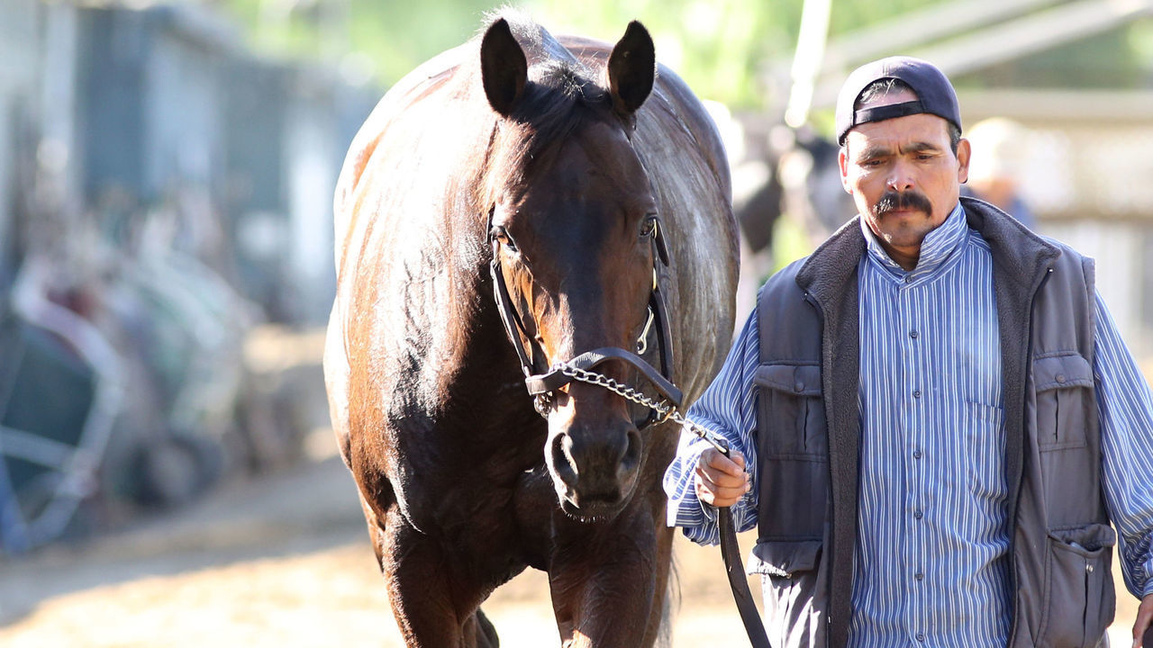 ARCADIA, CALIFORNIA- OCTOBER 27: Mongolian Groom at Santa Anita Park on October 27, 2019 in Arcadia, California