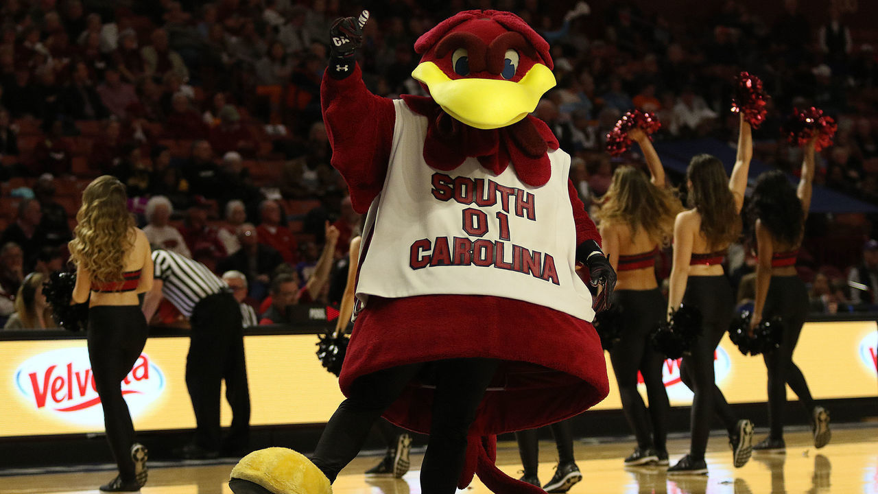 GREENVILLE, SC - MARCH 08: The South Carolina mascot 'Cocky' during the SEC Women's basketball tournament between the Arkansas Razorbacks and the South Carolina Gamecocks on March 8, 2019, at the Bon Secours Wellness Arena in Greenville, SC.
