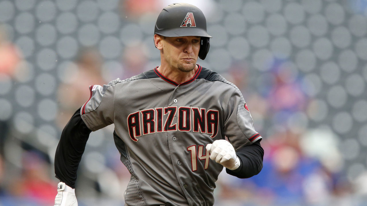 NEW YORK, NEW YORK - SEPTEMBER 12: Caleb Joseph #14 of the Arizona Diamondbacks in action against the New York Mets at Citi Field on September 12, 2019 in New York City. The Mets defeated the Diamondbacks 11-1.